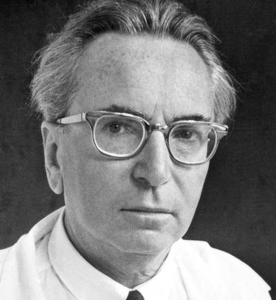 frankl 7