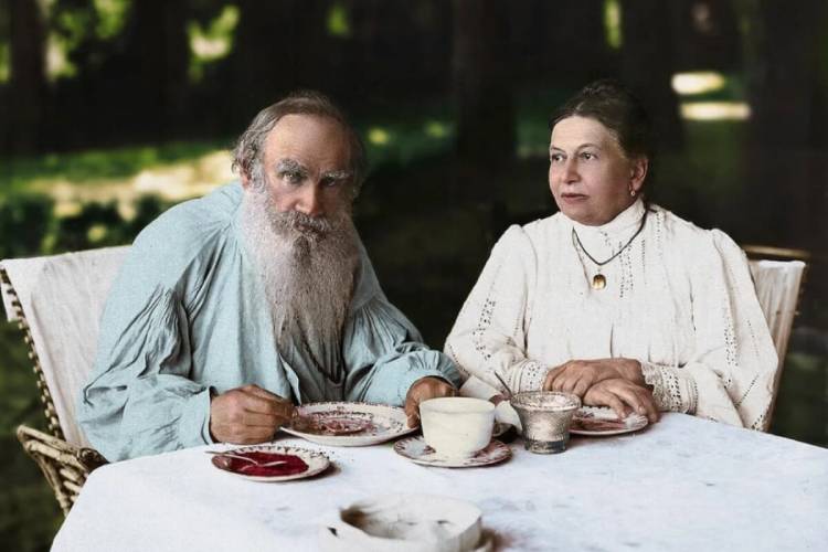semiya tolstogo