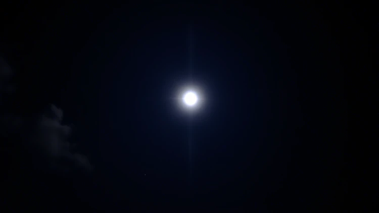 sk007