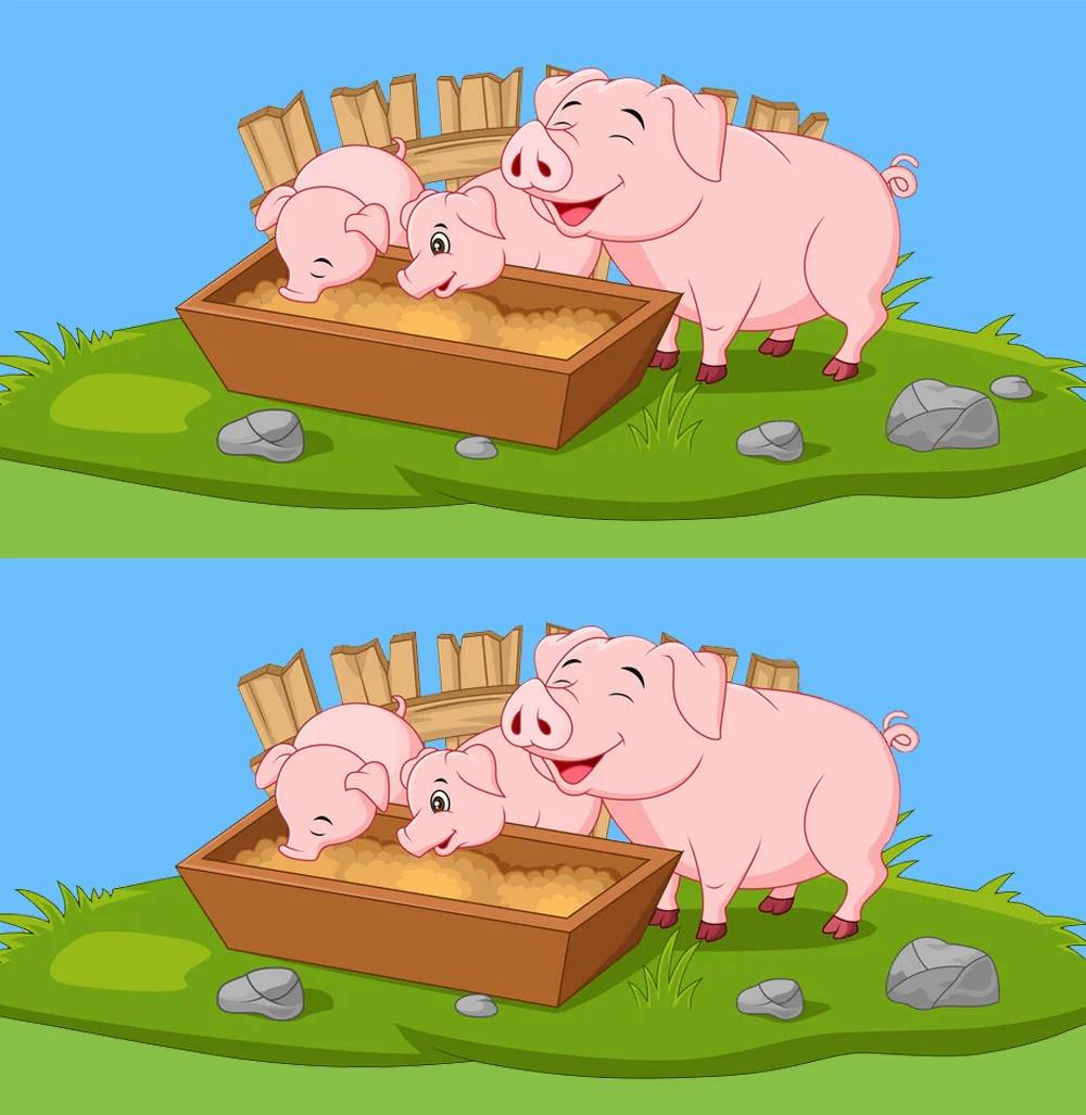 3