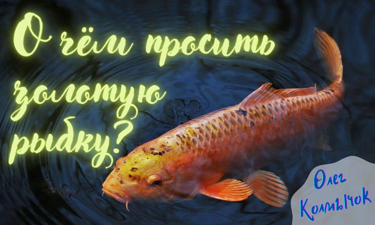 z ribka