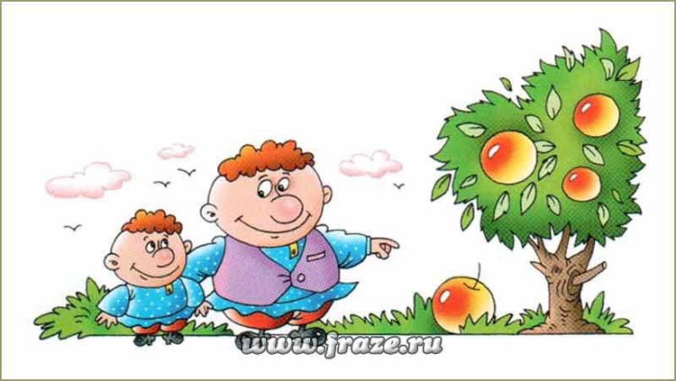 yabloko 3
