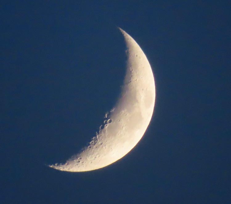 luna