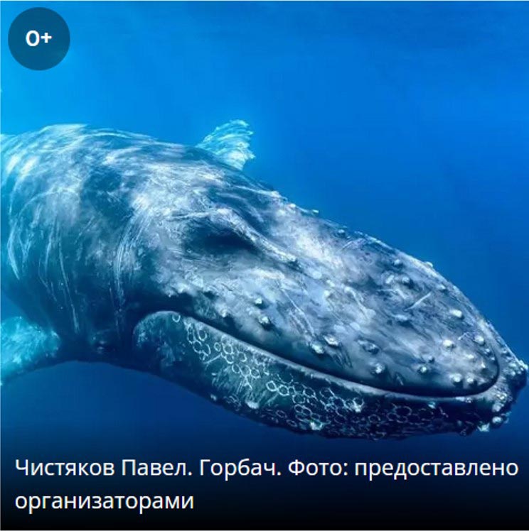 darvinskiy1