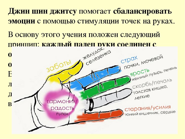 dzhitsu2