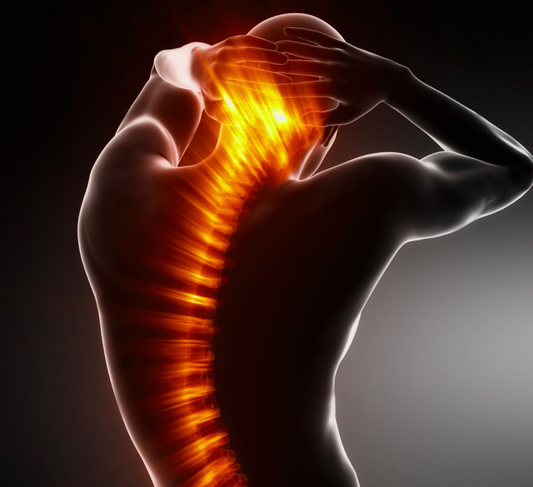 bol v spine2