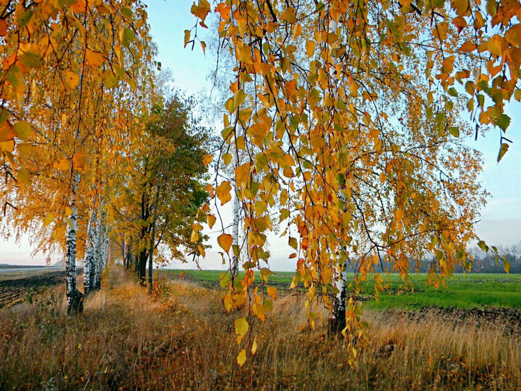 veter oseni