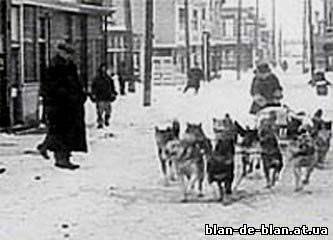 film i kniga1 2
