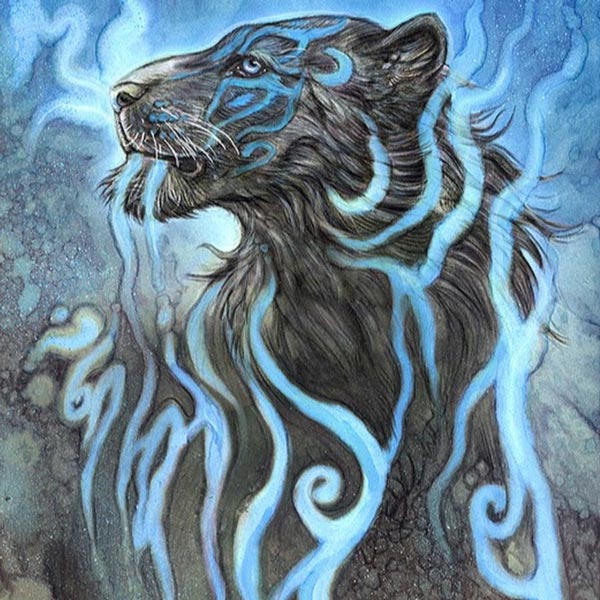 tigr