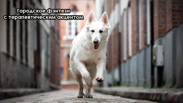 beliy