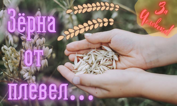 zerna ot plevel