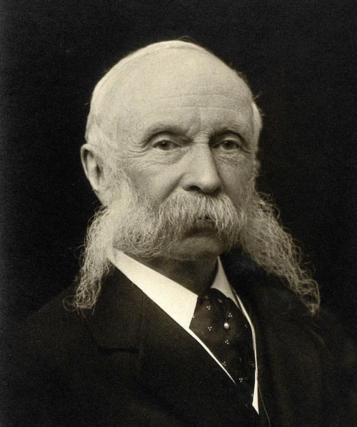 braun