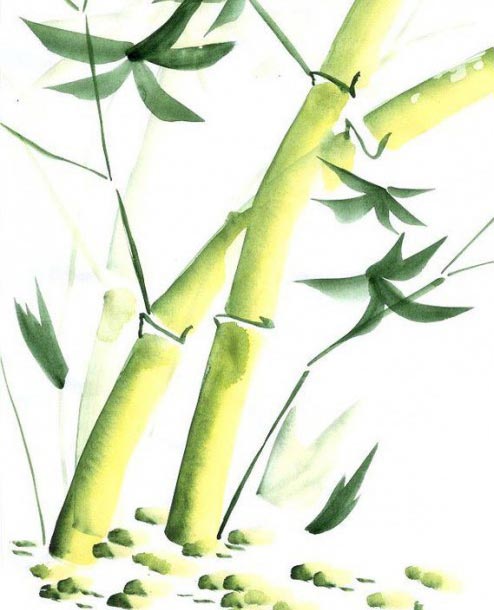 z7