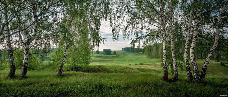 derzhava 2